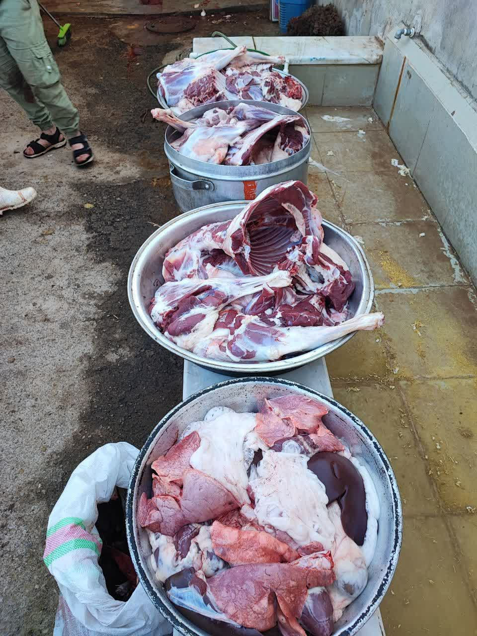 photo12069187428