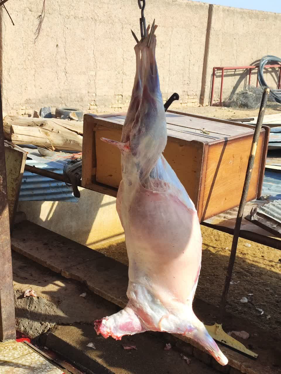 photo12672303966