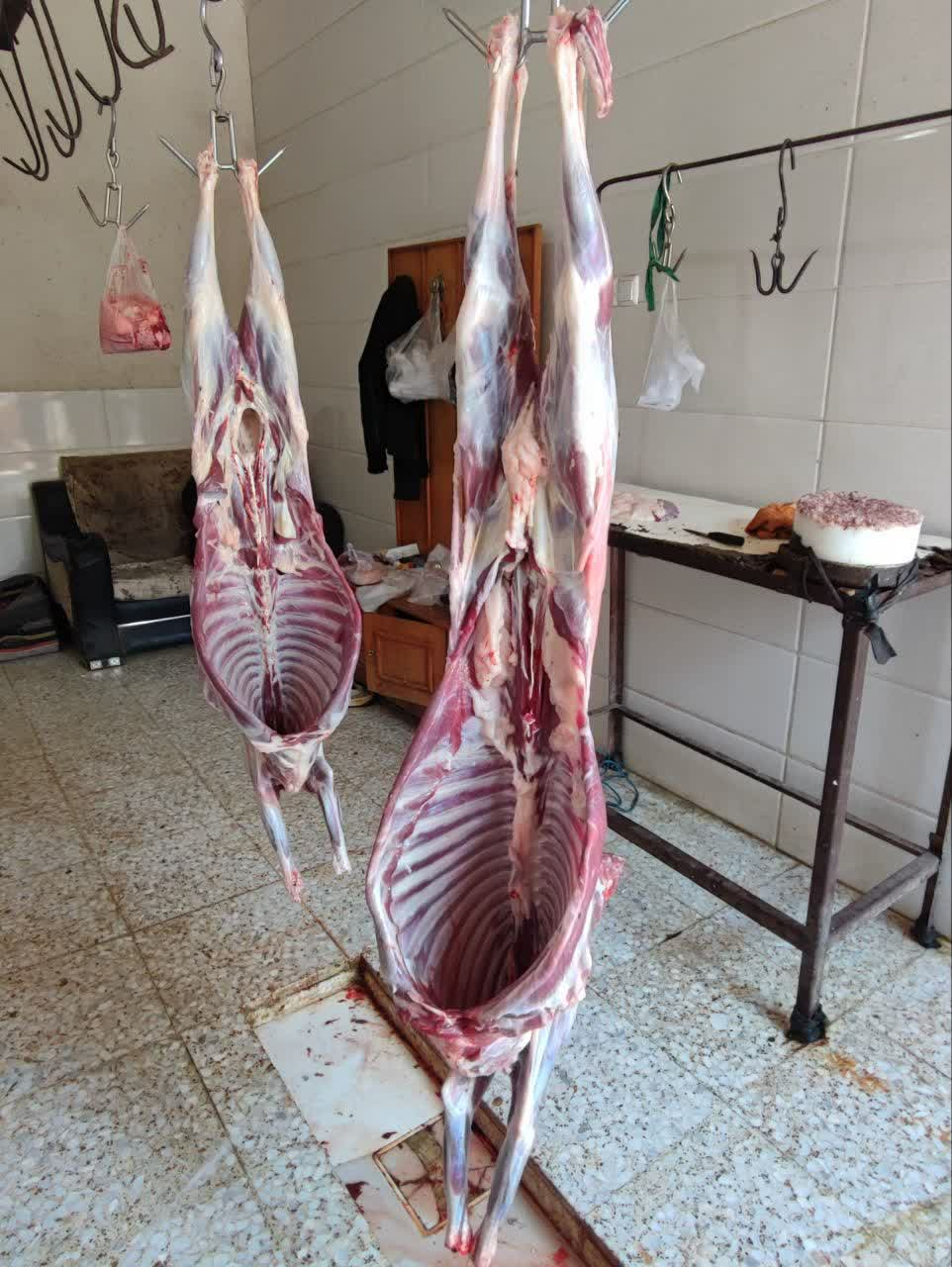 photo13303303165